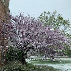 Meet your Posher, Elise